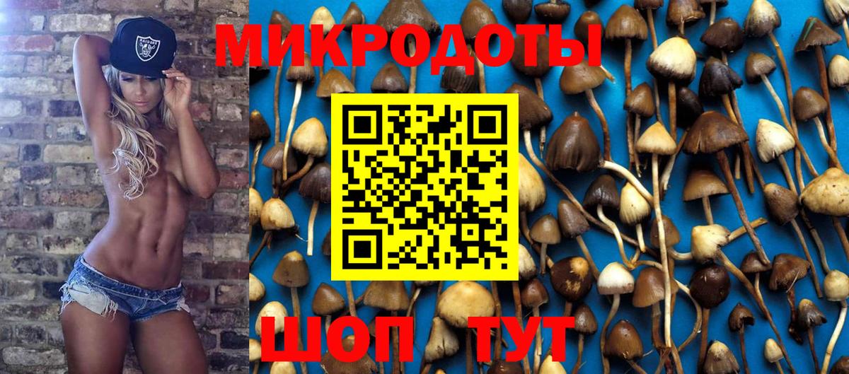 Псилоцибиновые грибы Magic Shrooms Унеча