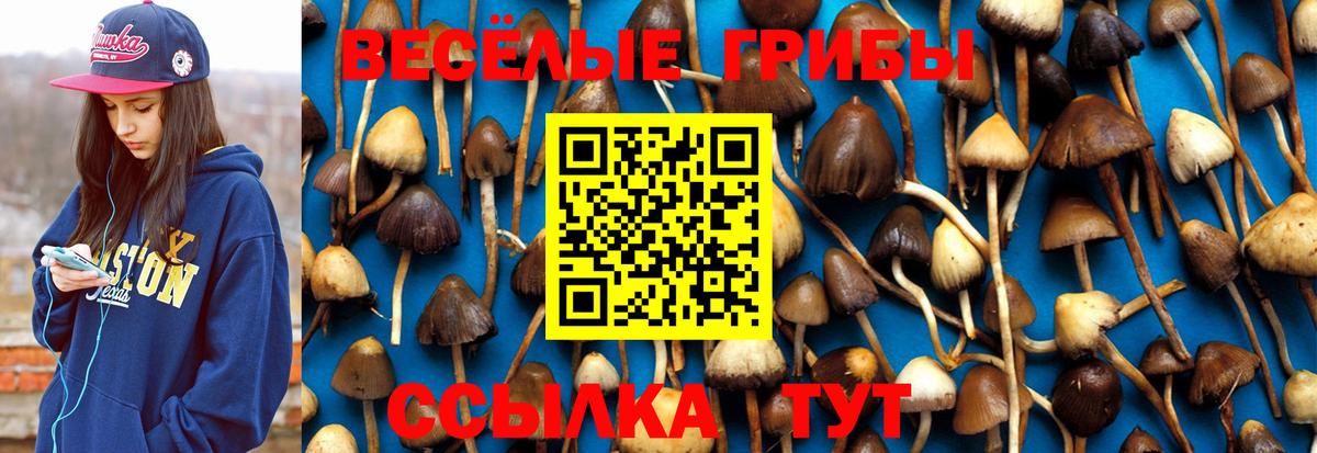 Галлюциногенные грибы GOLDEN TEACHER  Вход с VPN  Галлюциногенные грибы мицелий  Унеча 